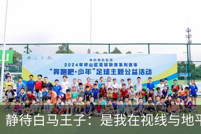 静待白马王子：是我在视线与地平线之间为你留出的可调节焦距